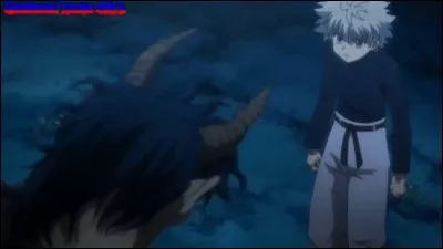 Qui est le meilleur ami de Gon ?