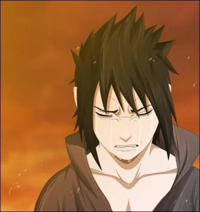 Pourquoi Sasuke pleure-t-il sur cette photo ?