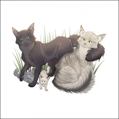 Ton plus grand d&eacute;faut est...