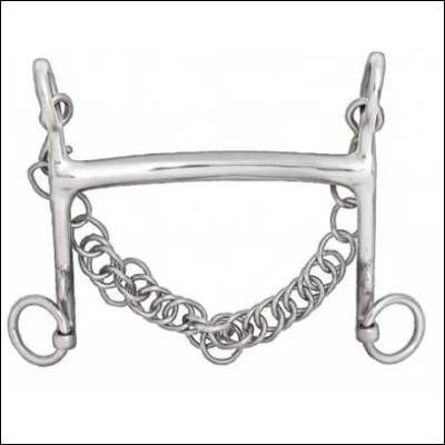 De quel mors s'agit-il ?