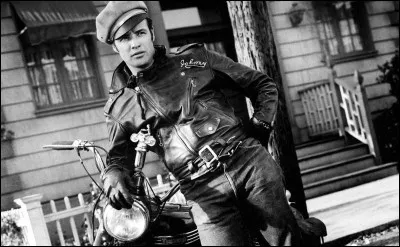 "Il portait des culottes, des bottes de moto / Un blouson de cuir noir avec un aigle sur le dos". Qui chante "L'Homme à la moto" en 1956 ?