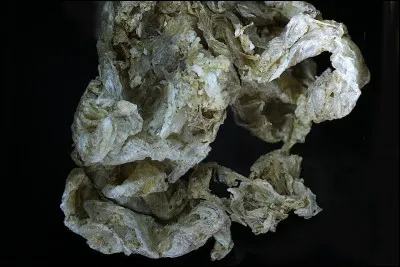 Quel autre nom est donné au minéral argileux, la rectorite ?