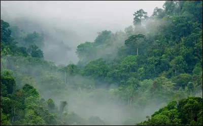 La Guyane est une île.