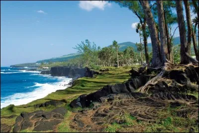 Le kiwi est un fruit originaire de la Réunion.