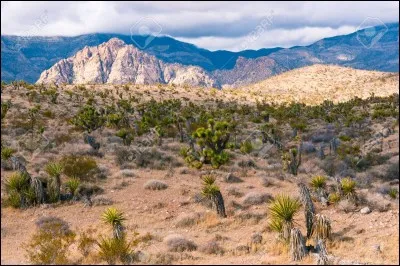 Le Grand désert de Victoria se trouve au Canada.