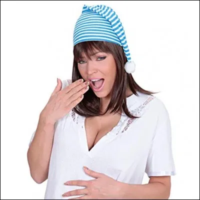 Quel est cet animal ?