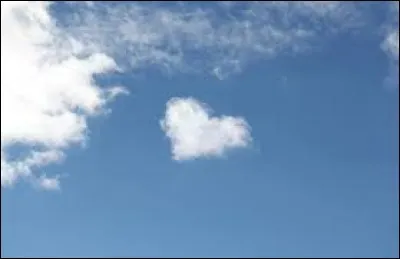 Quel est cet animal ?