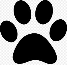 Quiz Animaux