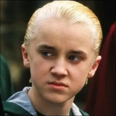 Qui est l'ennemi de Harry ?