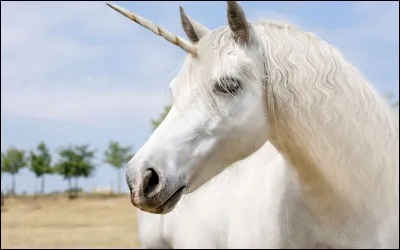 Qu'est-ce qui n'existe pas ?