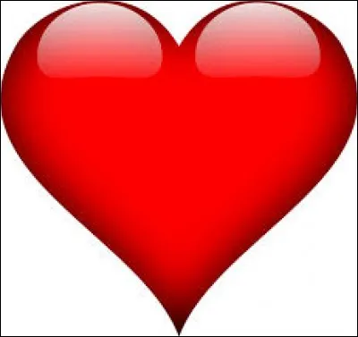 Le port de la bombe est-il obligatoire ?