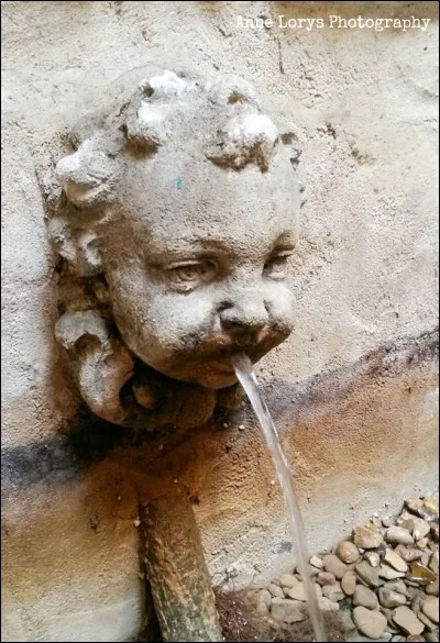 Observez bien l'illustration ! Et vous ouvrirez un ouvrage de... ?