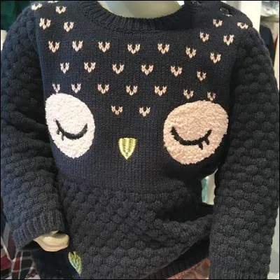 Observez bien l'illustration ! Et nommez d'un coup de baguette la jeune fille qui devrait hériter de ce pull-over...