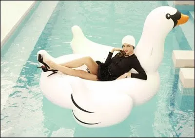 Observez bien l'illustration ! Avec quelques notions d'anglais, vous saurez reconnaître... ?