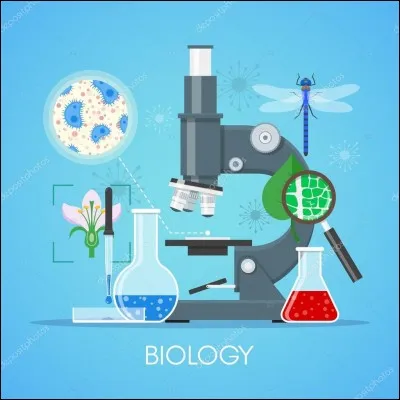 Combien de cotyl&eacute;dons poss&egrave;dent les eudicotyl&eacute;dones ?