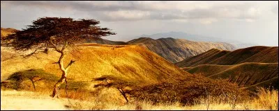 Le Népal est en Afrique.