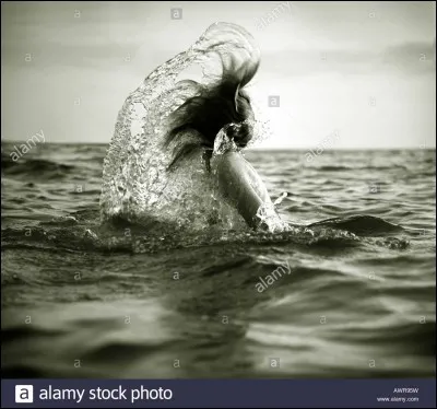 "Le Parfum de la dame en noir" est un livre signé Gaston Leroux.