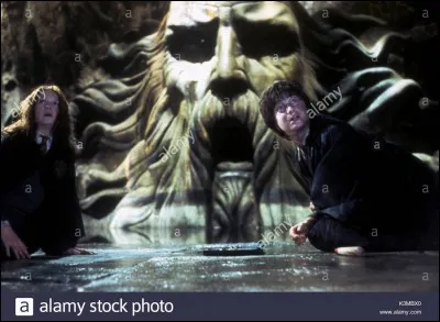 Compléter la phrase 
Harry entre dans la ......, se combat contre le .........., tue ........ et délivre .......... d'entre les mains des ........... ... ..........