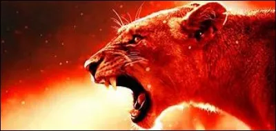 Est-ce que tu es facilement mis en colère ?