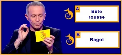 Dans le vocabulaire de la chasse, quel mot, qui désigne aussi un potin, donne-t-on à un sanglier âgé de 2 ans ?