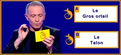 En anatomie, de quelle partie du pied parle-t-on lorsque l'on évoque l'hallux ?