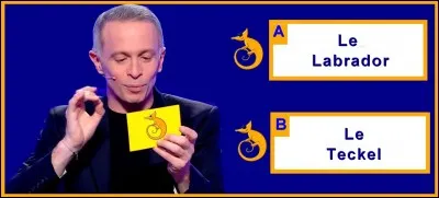 Quelle péninsule située au Nord de la province du Québec porte le nom d'un chien ?