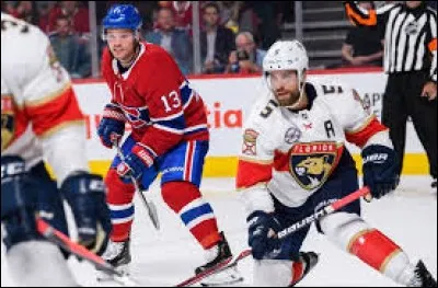 Pour l'instant, ce joueur s'avère une pièce importante du rouage de l'équipe, il ajoute cette ardeur que Marc Bergevin recherchait : pas effrayé par les coins ou le devant du filet, il est surtout un faiseur de jeu. Il bouge vite et depuis que Claude Julien l'a combiné à Jonathan Drouin, cela lui a donné des ailes.
Il représente une bonne acquisition.