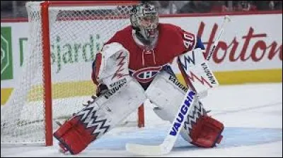 Ce gardien américain a mérité sa première victoire dans la ligue (LNH) en 2016, en jouant pour les Canadiens. Il a un bon positionnement avec son style papillon : il lit bien le jeu et est agile, bon de la mitaine, puis donne peu de rebonds pour une seconde chance.
Il constitue une superbe police d'assurance pour le club.