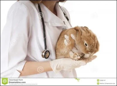 Quels sont les gestes d'urgence en cas de souci de transit avant d'aller consulter ?