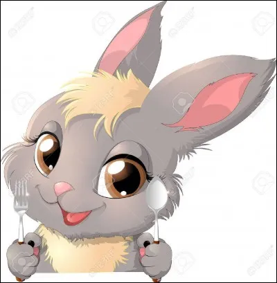 Le système digestif du lapin ralentit s'il...