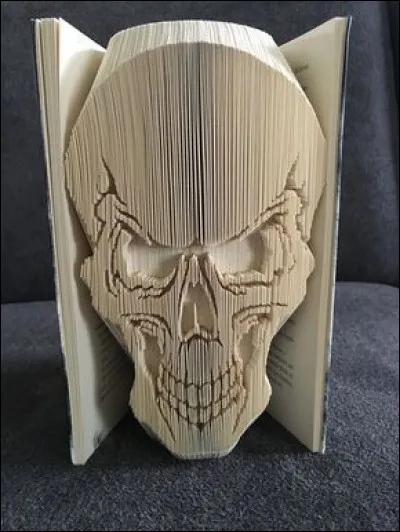 À qui doit-on "La tête contre les murs" ?