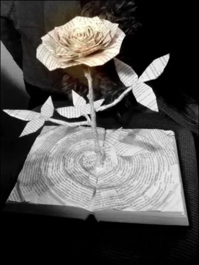 Qui est l'écrivain de "Roses à crédit" ?