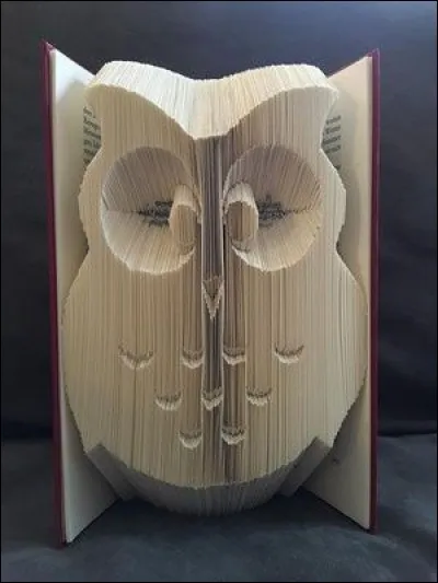 Qui est l'écrivain du "Cri de la chouette" ?