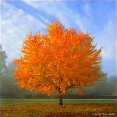 L'un des membres adultes de la famille royale britannique se pr&eacute;nomme "Automn". Est-ce vrai ?