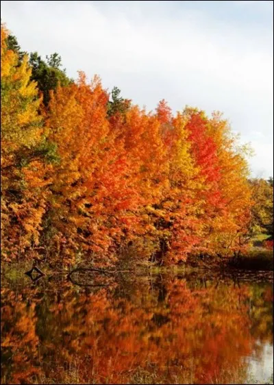 Parmi les propositions, quel est le film dont l'action se d&eacute;roule en automne ?