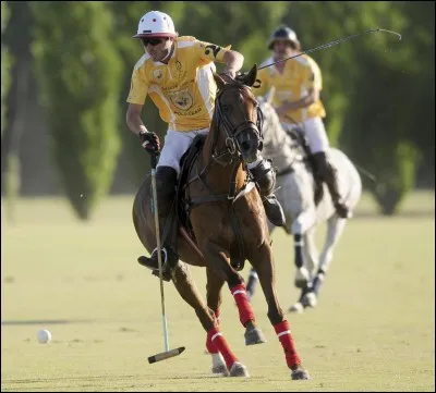 Quelle discipline équestre n'existe pas ?