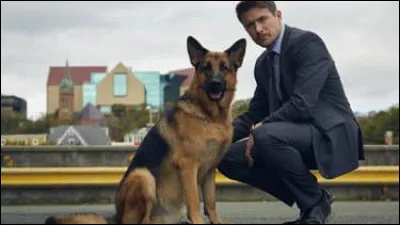 Qui est Rex dans la série "Rex" ?