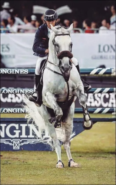 De quelle équipe fait partie Betram Allen ?