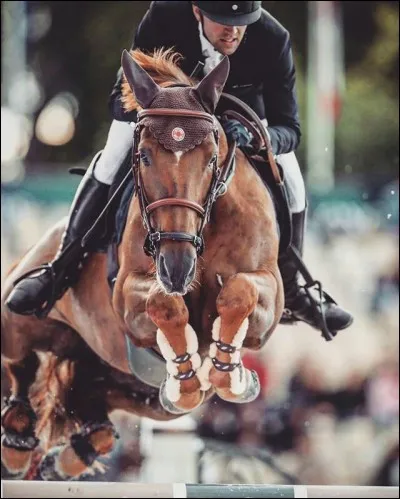 Avec quel cheval Simon Delestre a-t-il remporté le saut Hermès 2018 ?