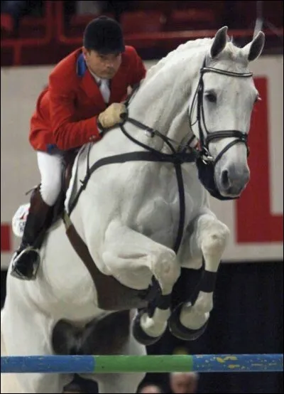 Quel était le célèbre cheval de John Witacker ?