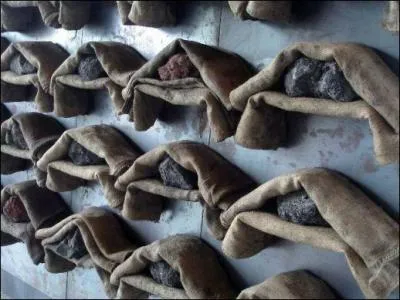 Les artistes de l'Arte Povera utilisent comme supports ...