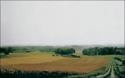 Gerhardt Richter, dans la mme tendance, a cre cette oeuvre reprsentant la France, intitule ...