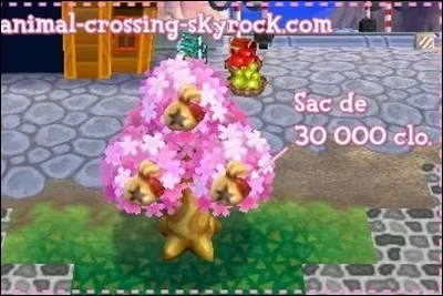 Combien de clochettes peut contenir ton porte monnaie ?