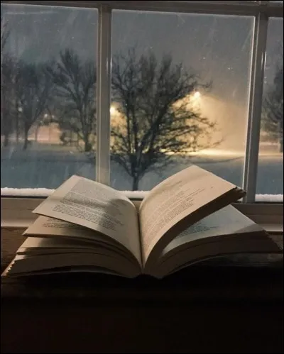 Qui est l'écrivain de "L'Imitation de Notre Dame de la Lune" ?