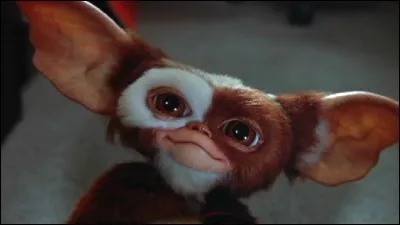 Comment s'appelle ce gremlin ?