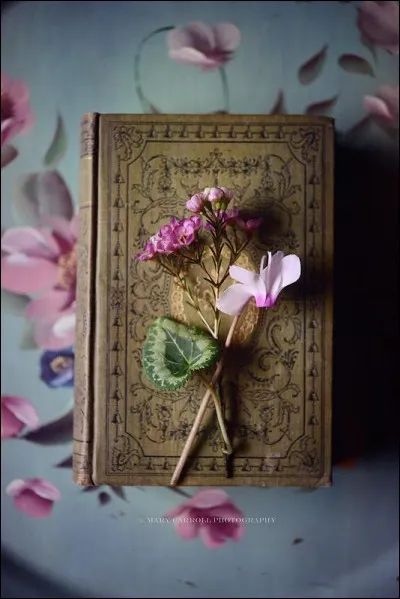 Qui est l'auteur de "L'inspecteur Cadavre" ?