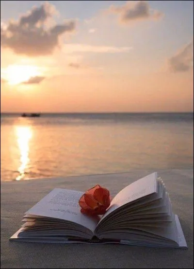 Qui a écrit "Morts en eaux troubles" ?