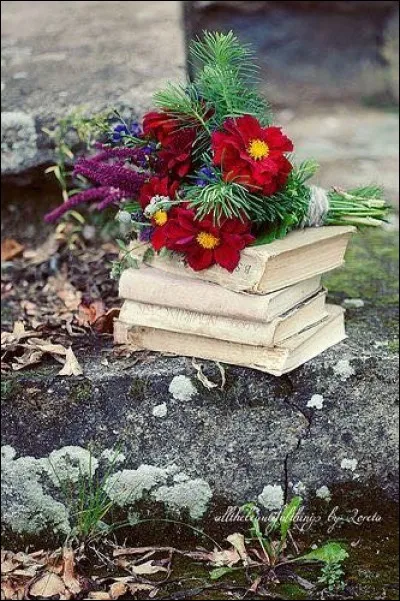 De qui est le livre "Bons baisers de Russie" ?