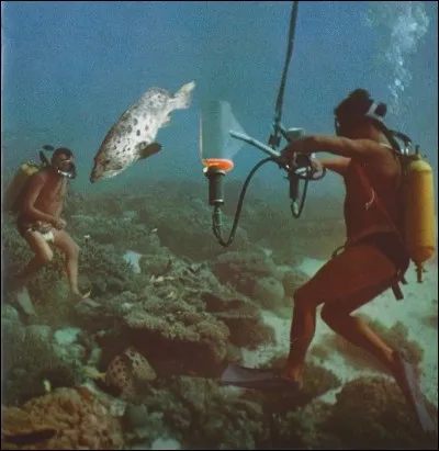 Sous quel nom &eacute;tait connu le m&eacute;rou, la grande vedette du film "le Monde du silence", de Jacques Yves Cousteau ?