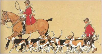 Dans quel ch&acirc;teau de la Loire peut-on encore voir une meute de chiens courants ?